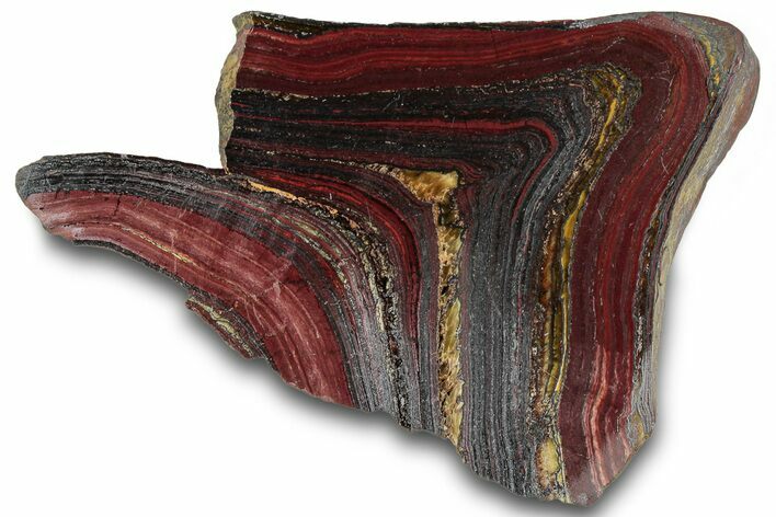 Polished Tiger Iron Stromatolite Section - Billion Years #319461